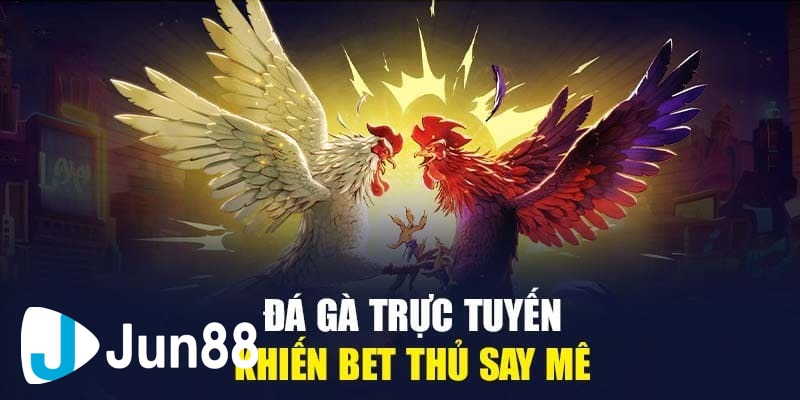 soi kèo đá gà 