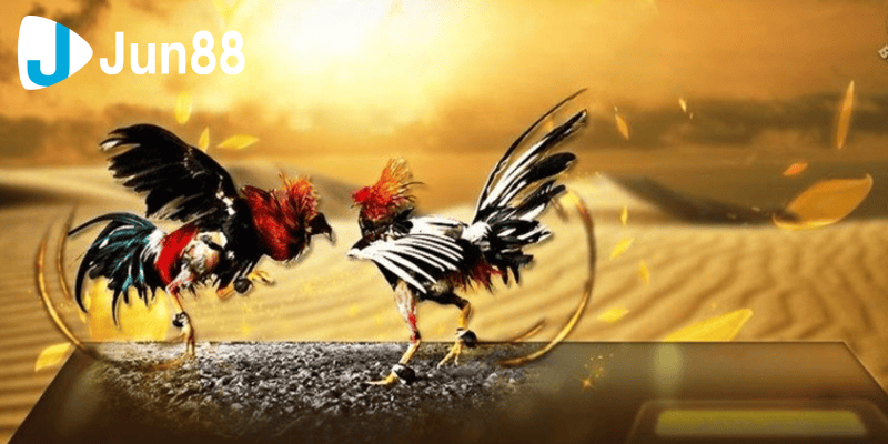Chiến thuật thi đấu đỉnh cao từ các chuyên gia 
