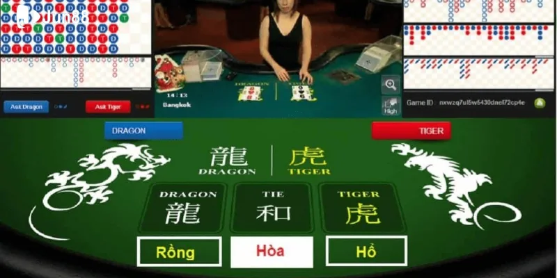 uu-tien-chon-mot-trong-hai-cua-rong-hoac-ho-de-ca-cuoc