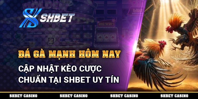 Đá Gà Mạnh