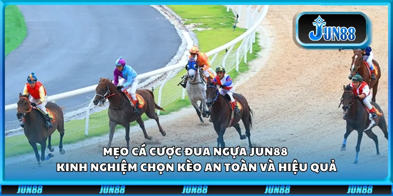 Mẹo cá cược đua ngựa Jun88 - Kinh nghiệm chọn kèo an toàn và hiệu quả